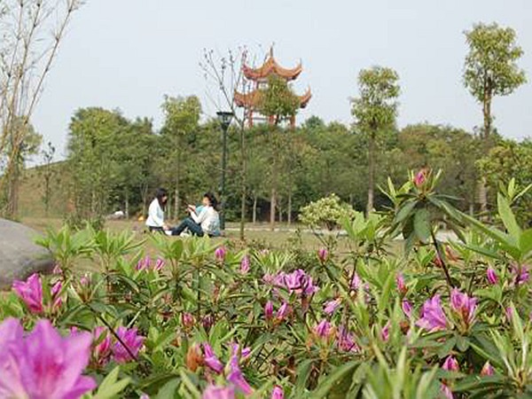 后山花園