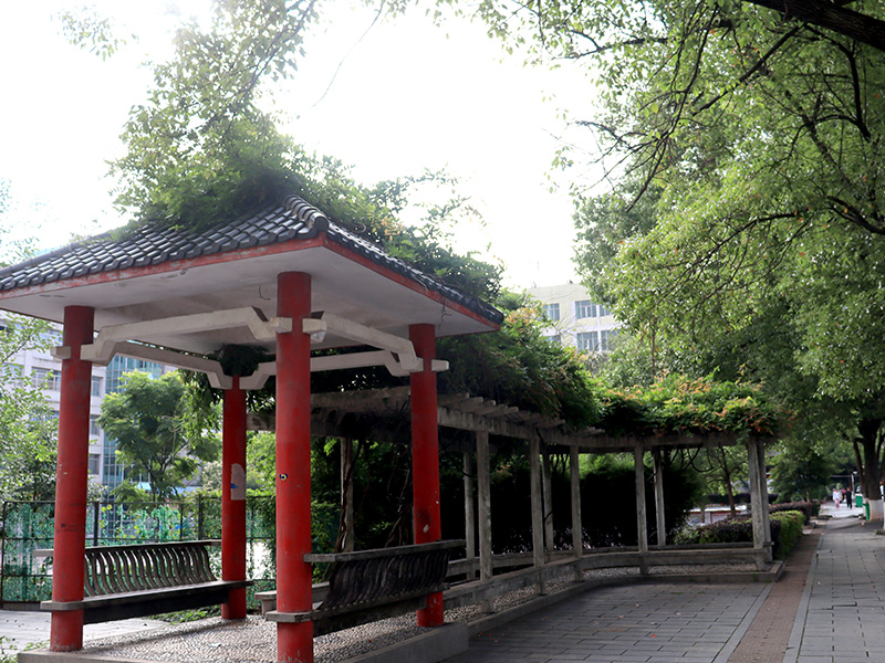 校園一角
